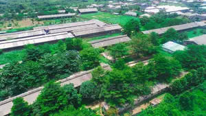 Functioning Poultry Farm on 20 Hectares of Land at Ijebu Ode Ogun State