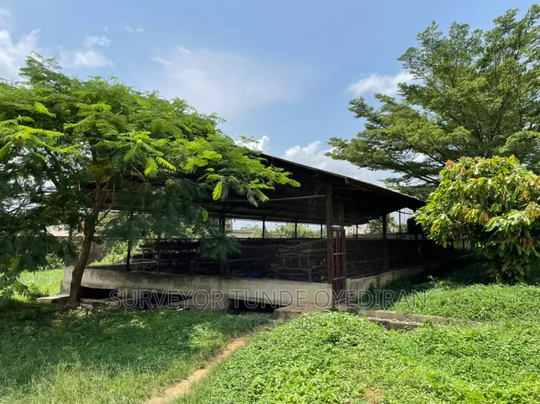 Functioning Poultry Farm on 20 Hectares of Land at Ijebu Ode Ogun State