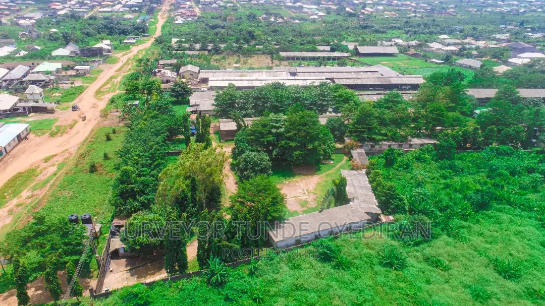 Functioning Poultry Farm on 20 Hectares of Land at Ijebu Ode Ogun State