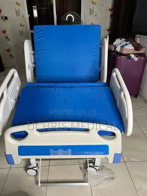 Three Cranks ICU Bed