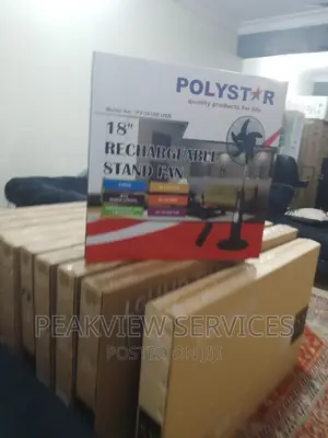 Durable Polystar 18""Rechargeable Stand Fan