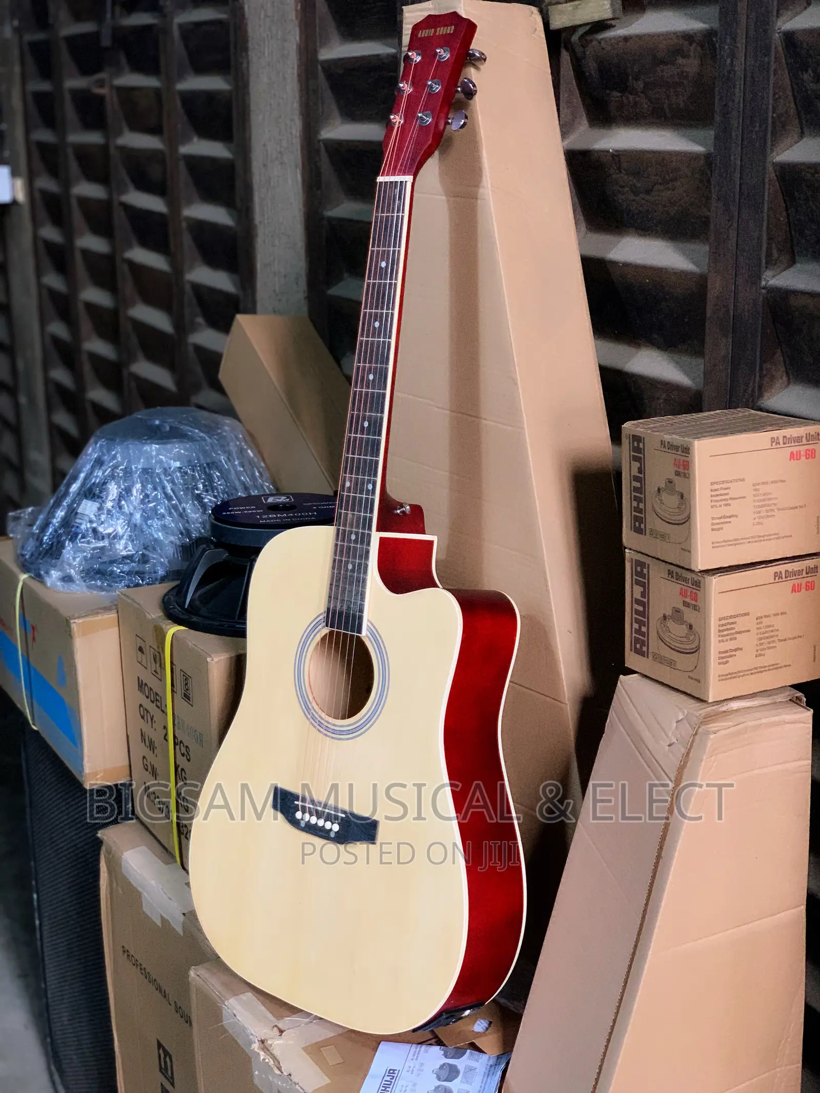 Semi Accustic Guitar
