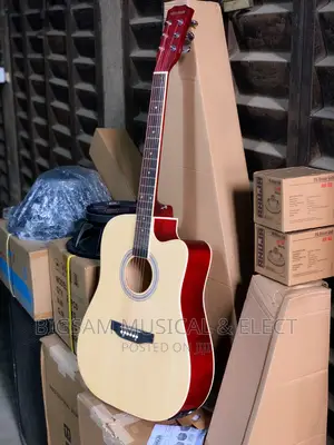 Semi Accustic Guitar