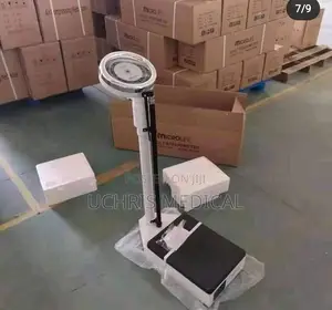Scale With Height