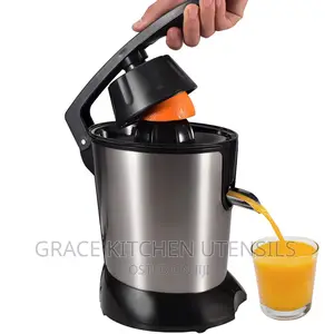 Hand Electric Juicer, 800ml Fruit Juicer,