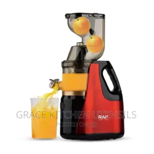 Professional Raf Slow Juicer