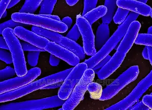 E Coli and Staphylococcus Aureus Proper Clear Up Treatment