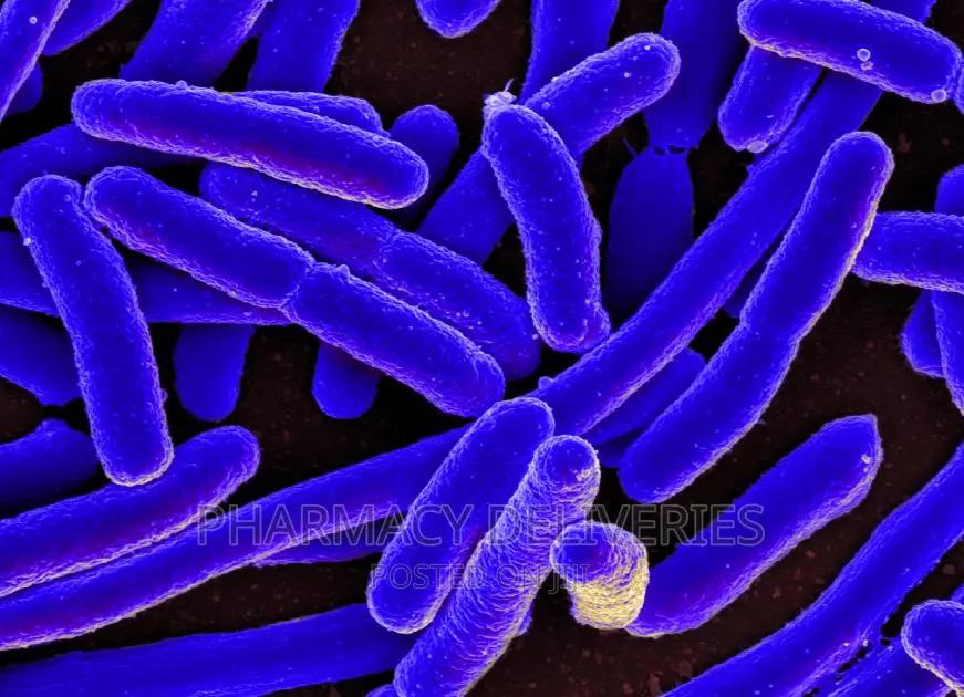 E Coli and Staphylococcus Aureus Proper Clear Up Treatment