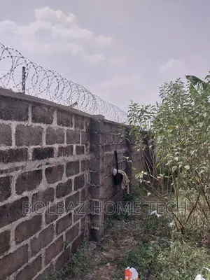 Security Barb-Wire; Concertina