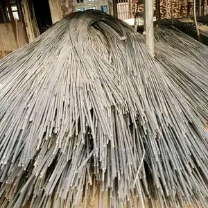 Y10mm Rod SEG