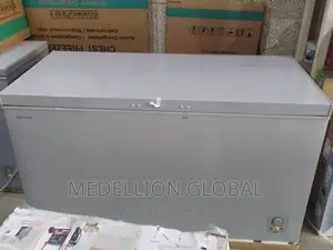 Hisense 420L Deep Freezer