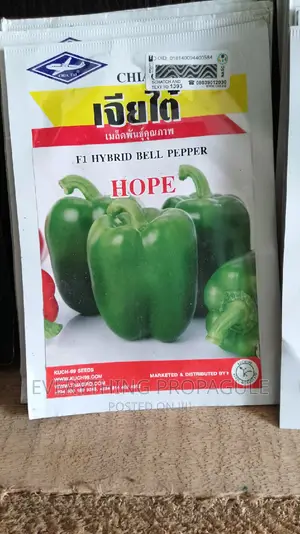 Hope F1 Bell Pepper