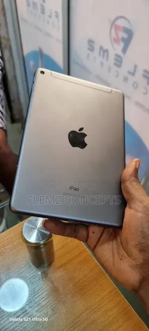 Apple iPad mini 5 64 GB Gray