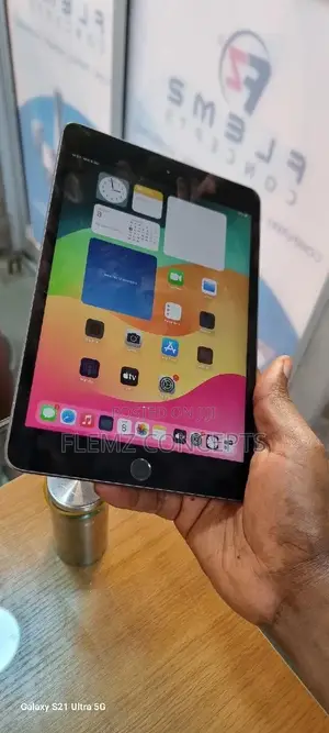 Apple iPad mini 5 64 GB Gray