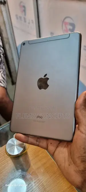 Apple iPad mini 5 64 GB Gray
