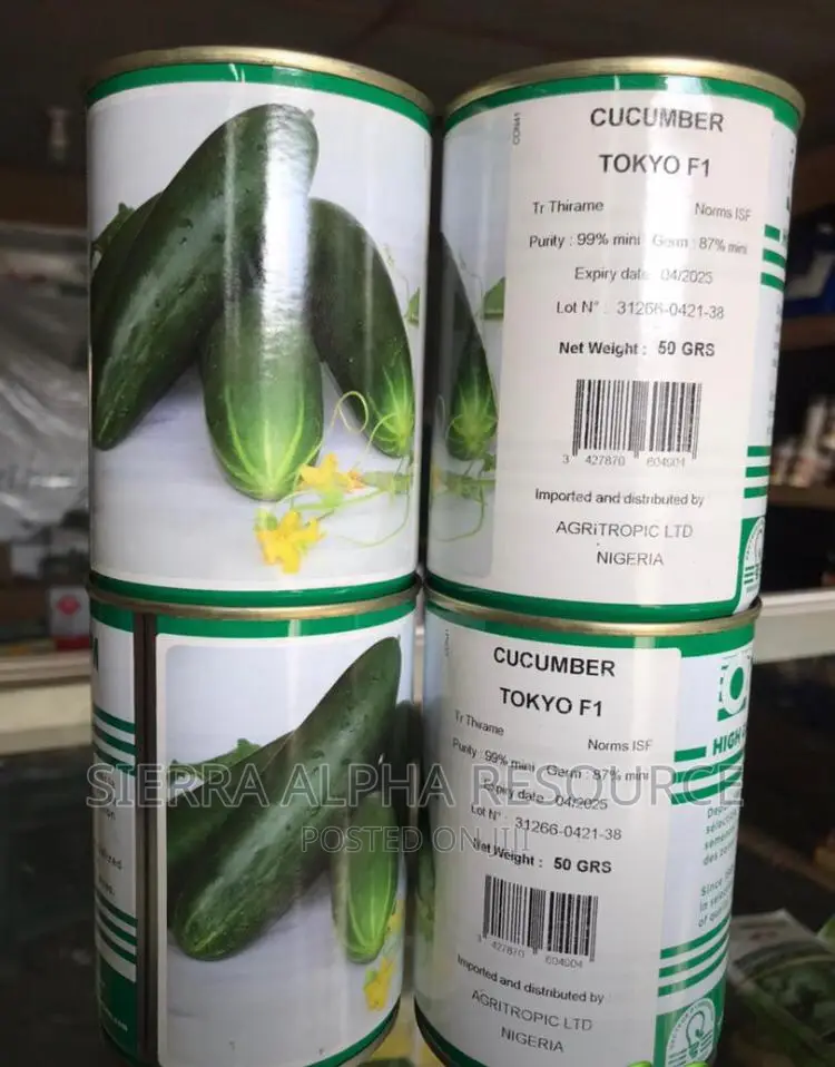 Cucumber Seeds