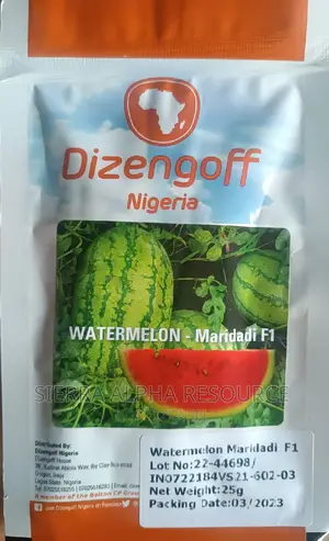 Watermelon Seeds