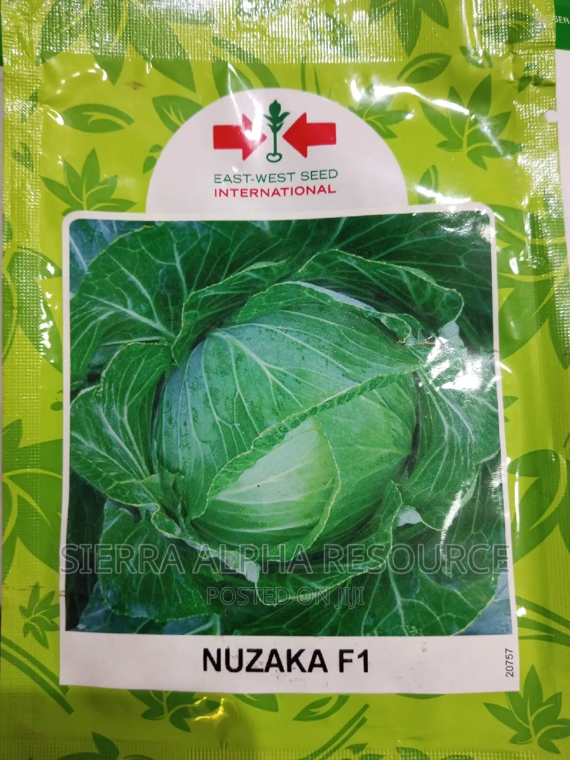 Cabbage Seeds