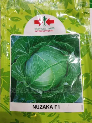 Cabbage Seeds