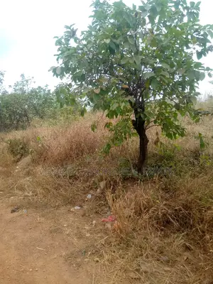 Two Plots of Land for Sale at Behind Timber Market Abakaliki