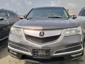 Acura MDX 2010 Gray