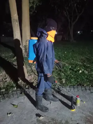 Landscape and Maintenance