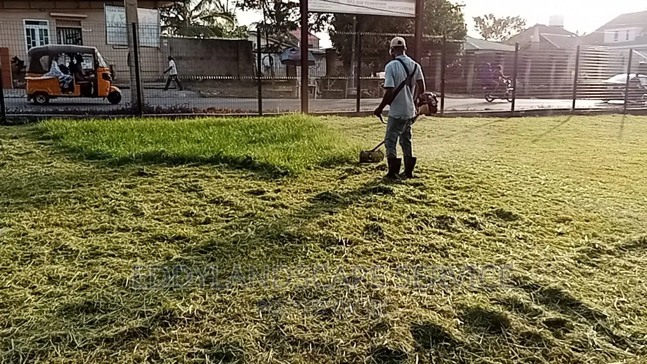 Landscape and Maintenance