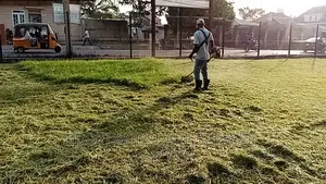 Landscape and Maintenance