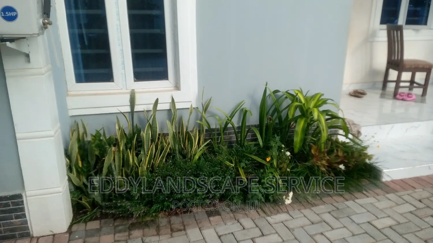 Landscape and Maintenance