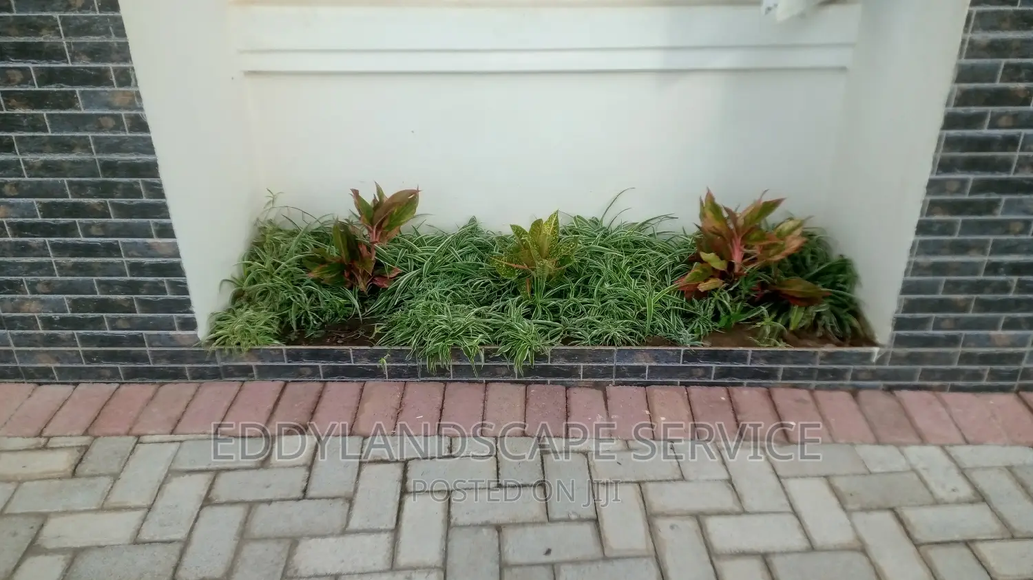 Landscape and Maintenance