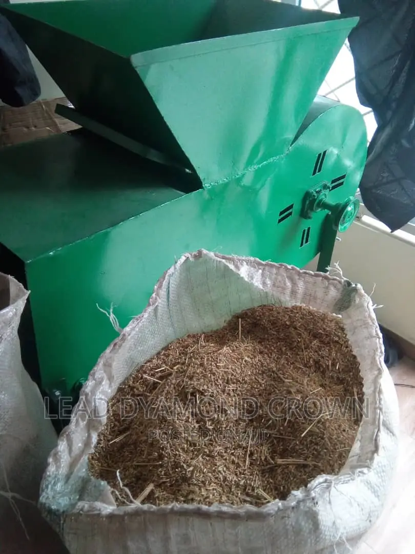 Brachiaria Ruziziensis Grass Seeds