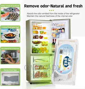 Odor Removal Fridge Deodorizer Box
