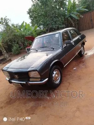 Peugeot 504 1997 Gray