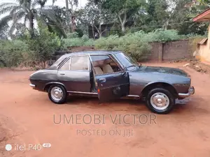 Peugeot 504 1997 Gray