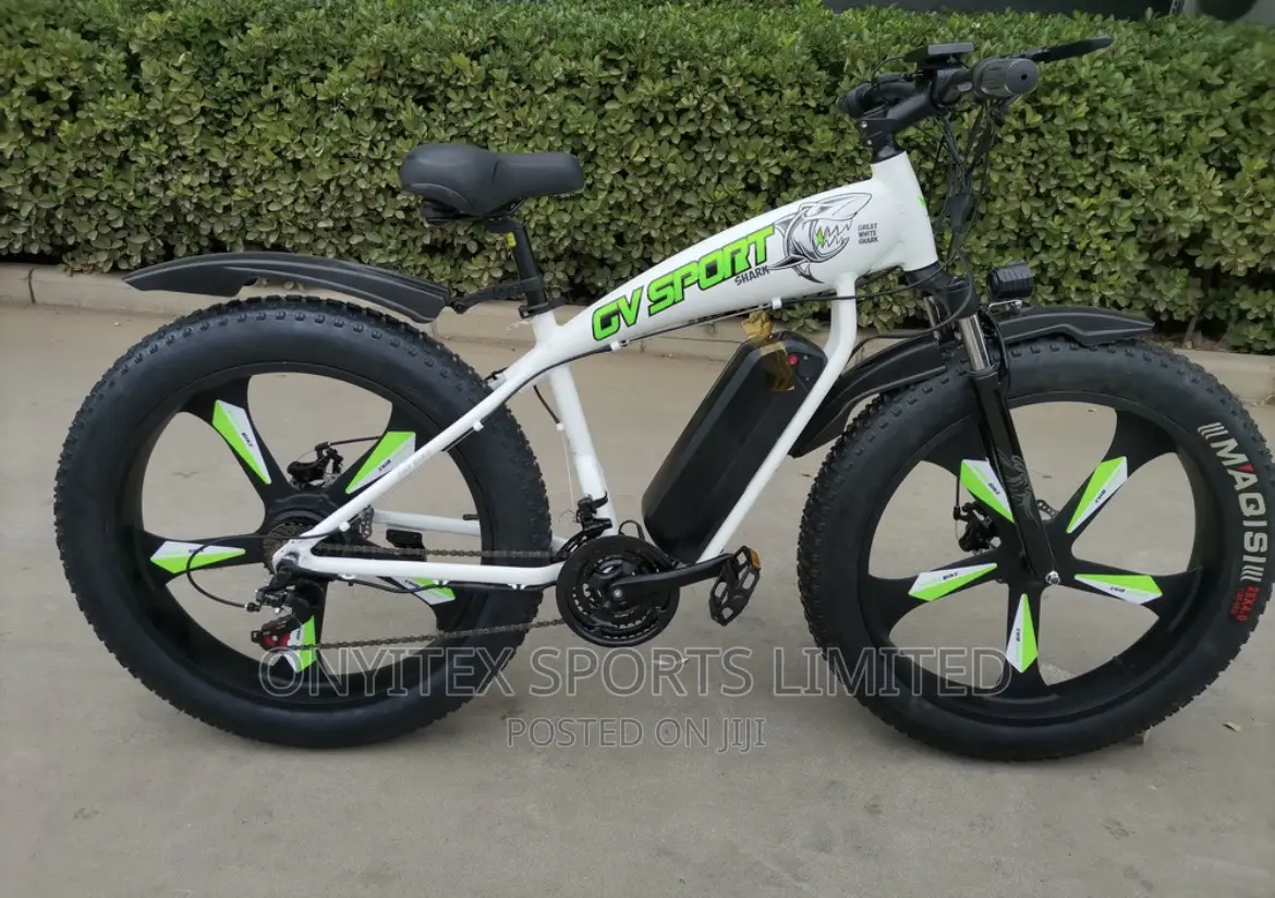 Executive Big Tyer Bicycle (Electric Bike)