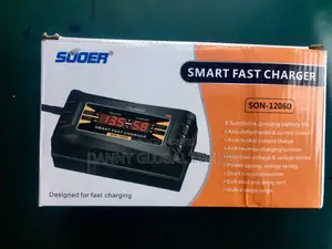 Original Smart Fast Car Battery Charger