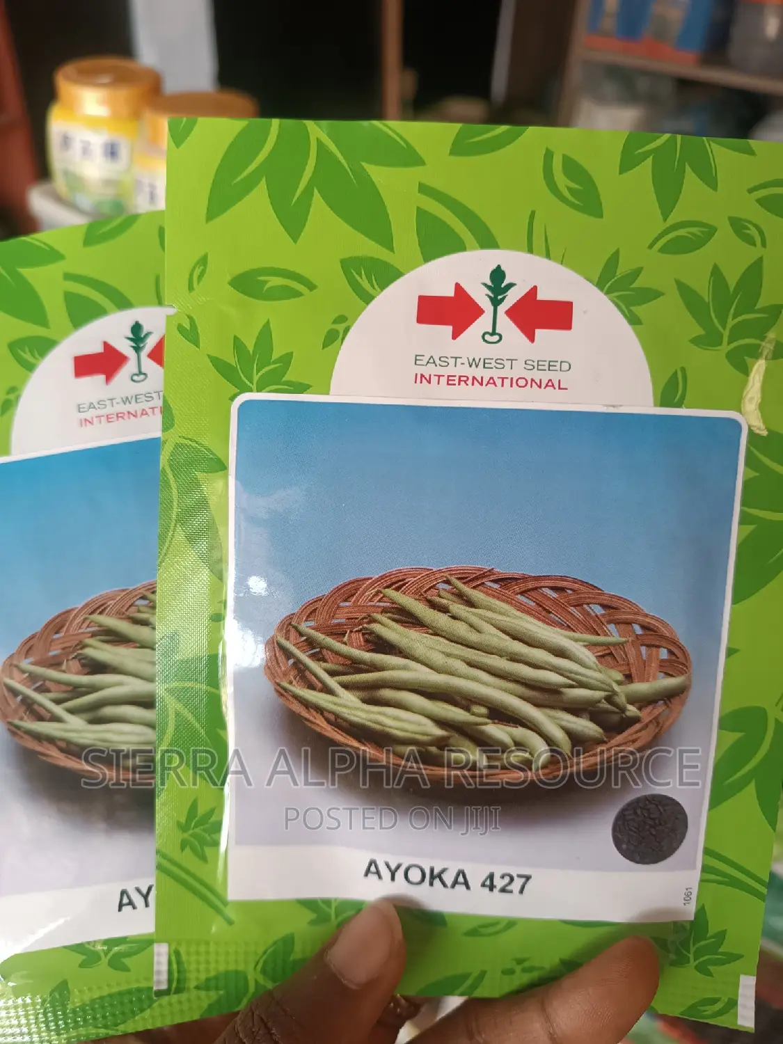 Runner Beans Seed