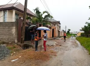 Advance Geophysical Investigation