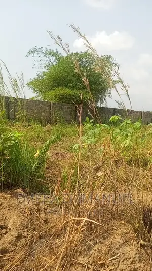 4 Plot of Land at Ukwulu Dunukofia LGA