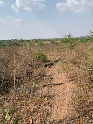 800000 Acres of Land for Sale Along Iseyin Ogbomosho Road