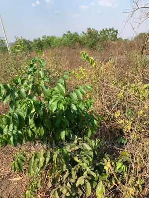 1000 Acres of Land for Sale in Abeokuta North at Cheap Rate