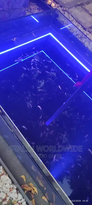 Waterproof LED Light Strips