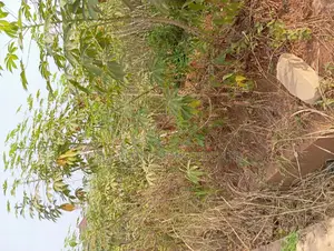 700 SQM of Land at Ngozika Estate Awka
