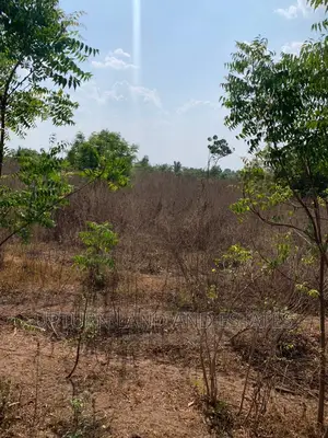 Photo - 100 Acres of Land for Sale at Kobape at Cheaper Rate