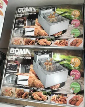 6liters Electric Deep Fryer
