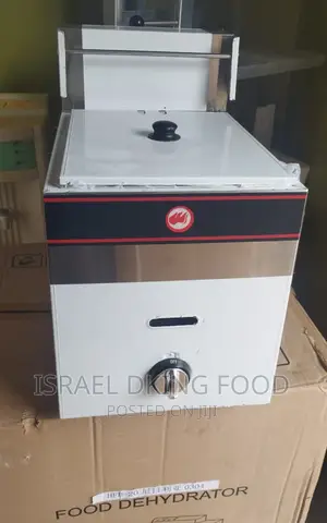 New Single Basket Stainless Electric Deep Fryer