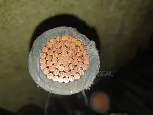 500mm 1core Nigerchin Cable.
