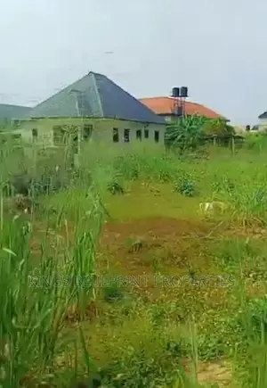 Freehold Land Okuokoko Axis
