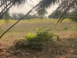 Genuine 200ft by 200ft Along Benin-Sapele Road Express for Sale