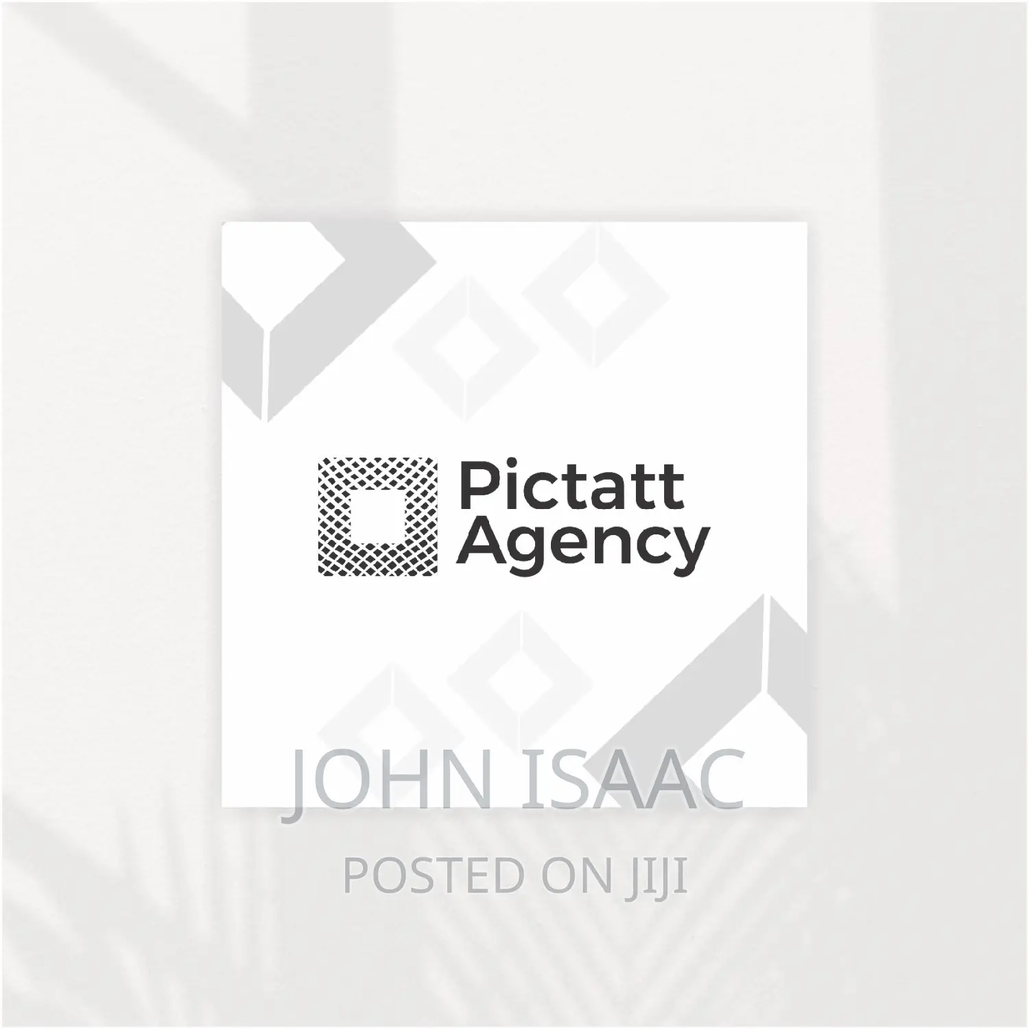 Web Developer | Wordpress Guru